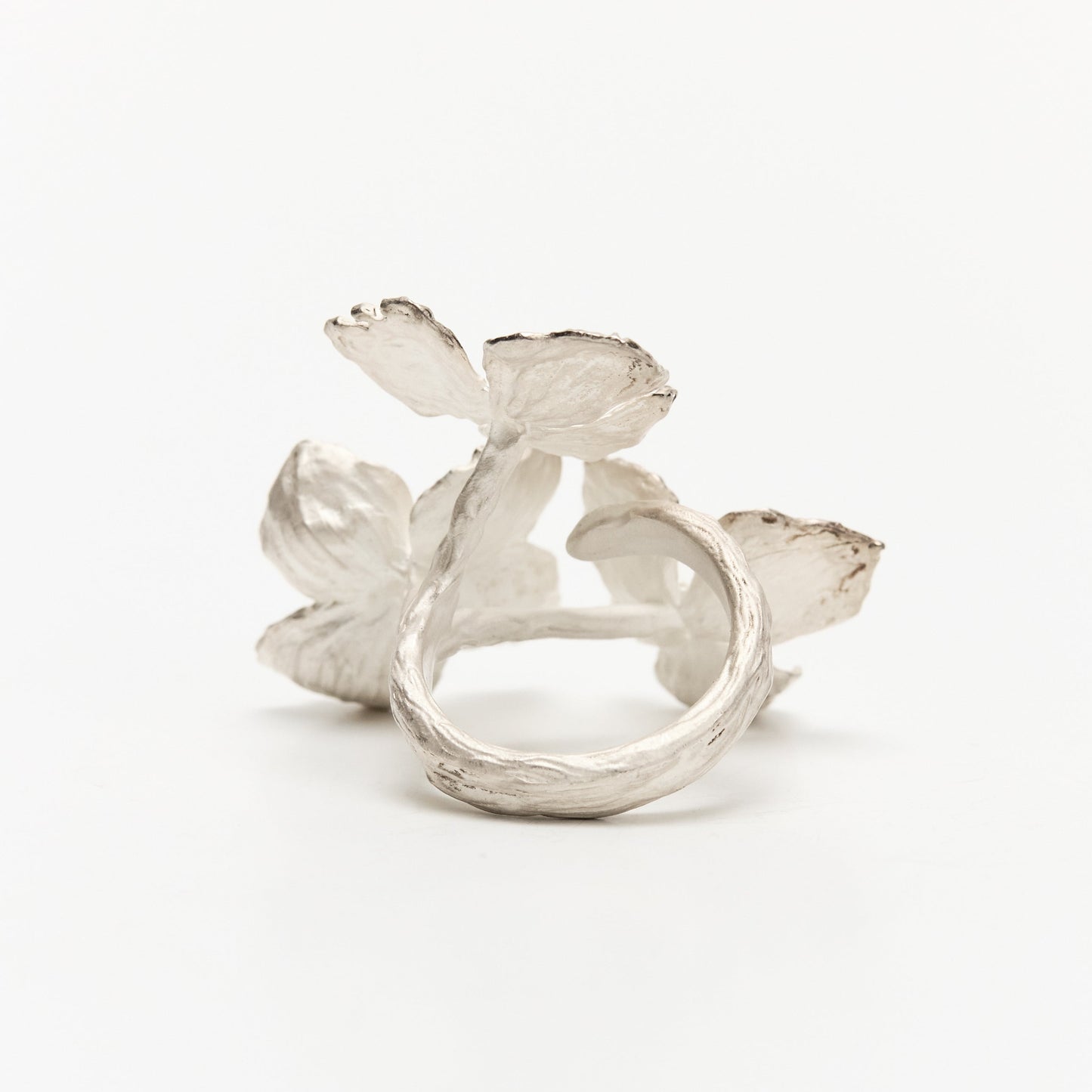 Cluster Branch Ring